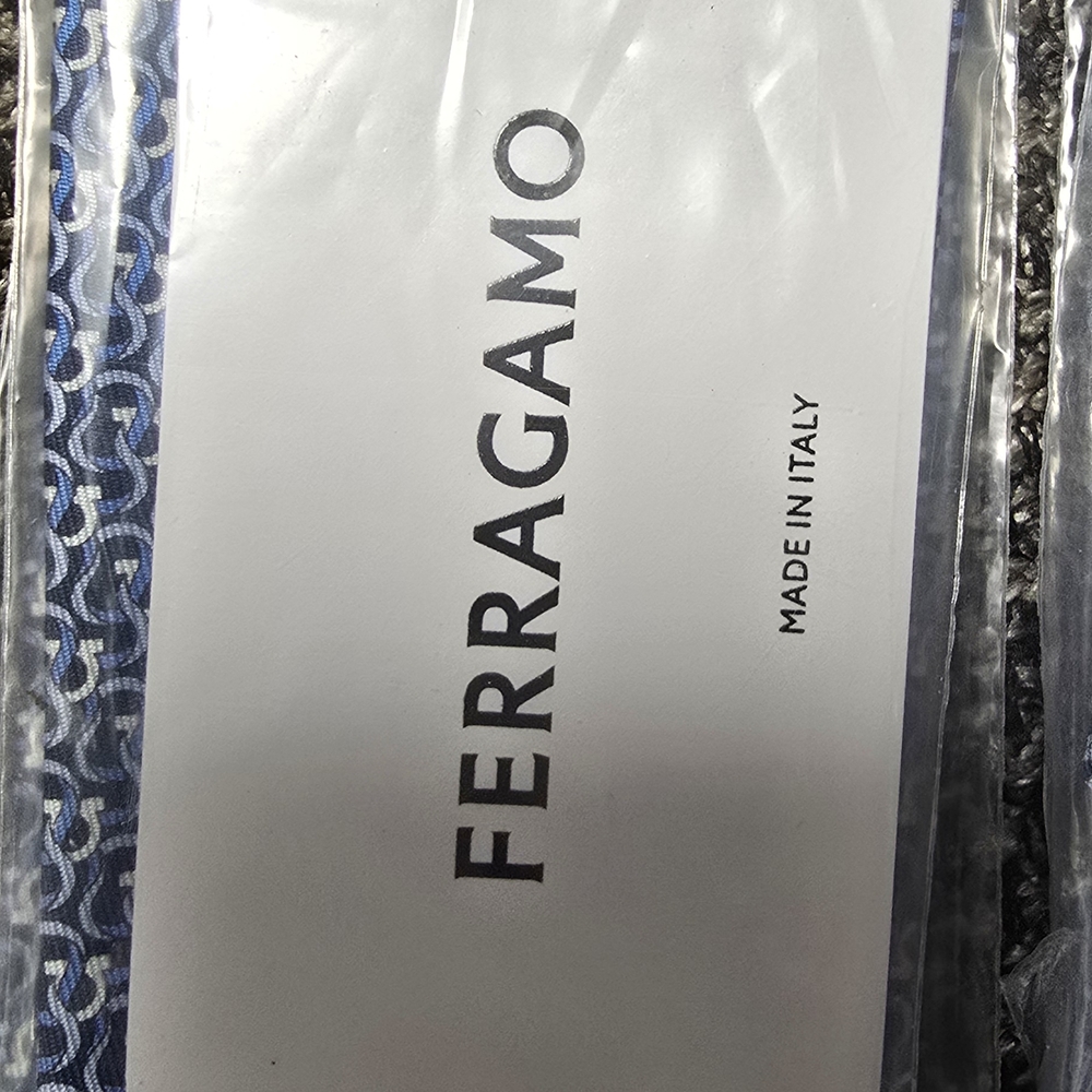 Salvatore Ferragamo Blue and White Tie